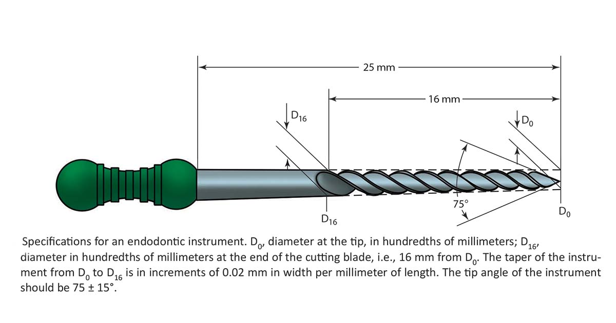 Different Types of Endodontic Files