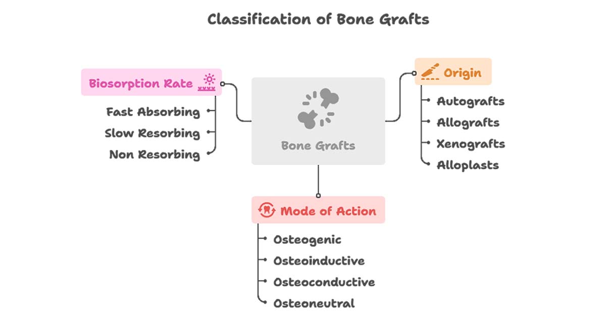 Bone Grafts and Membranes: Everything Dentists Need to Know
