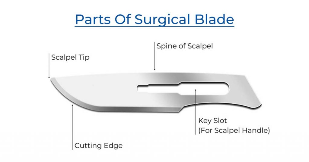 Dental Surgical Blades: Complete Guide