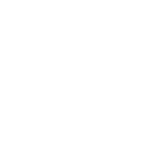success logo